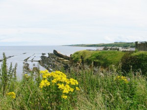 IMG_2903K