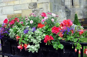 s-IMG_3055BK